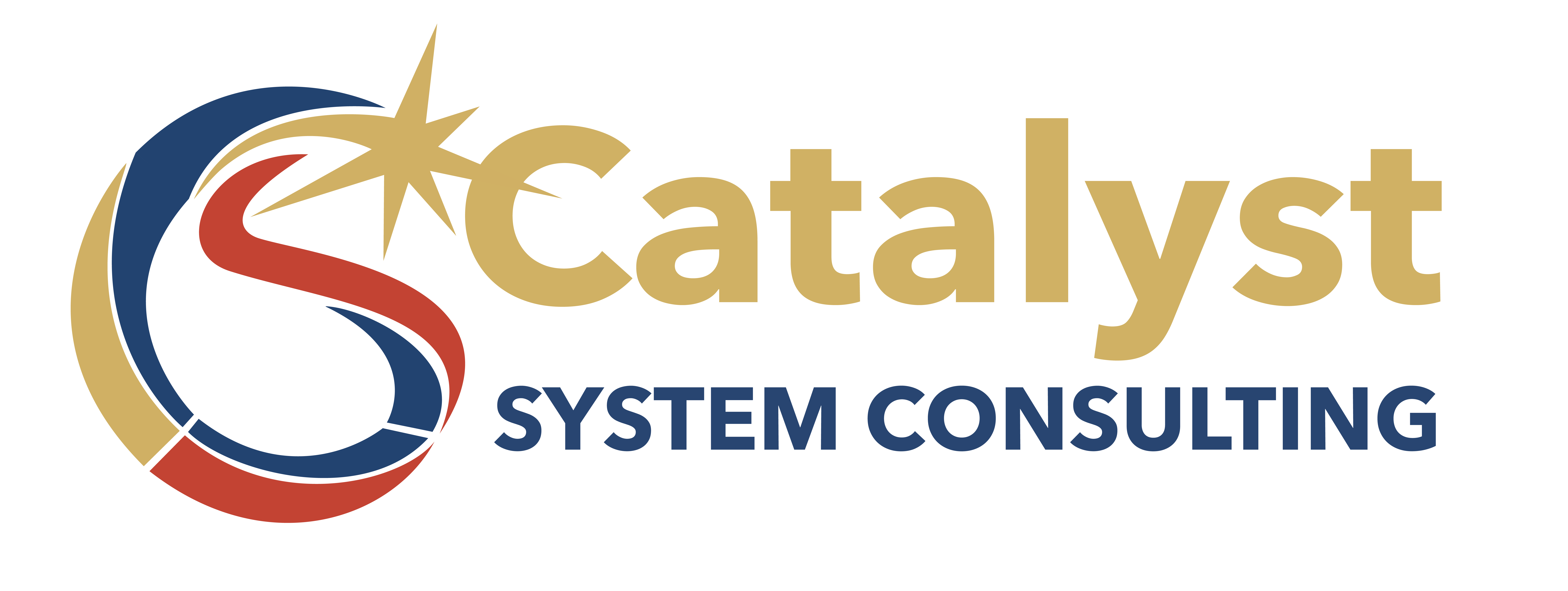 Catalyst System Consulting